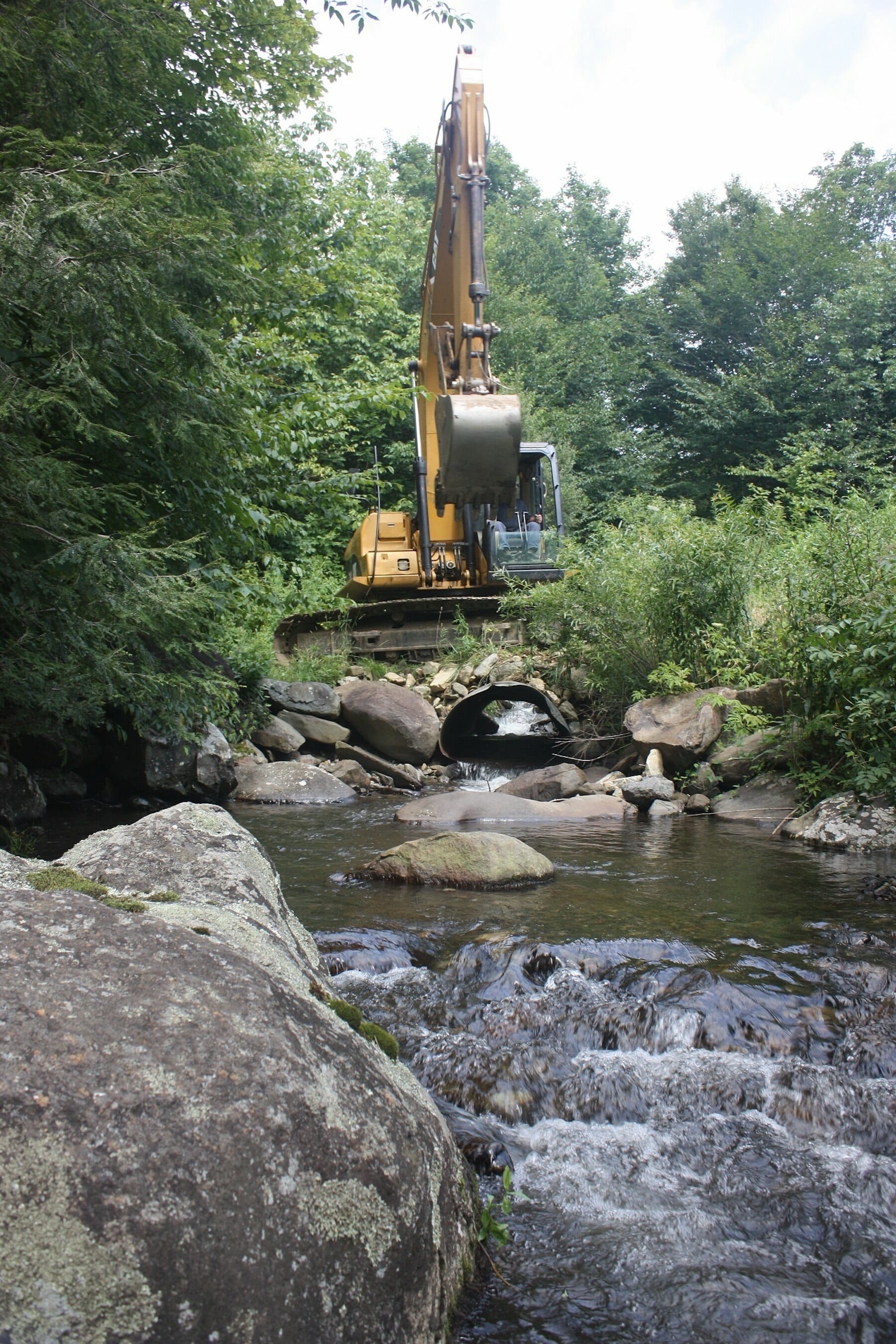 project-opens-habitat-on-nc-s-roaring-creek-trout-unlimited