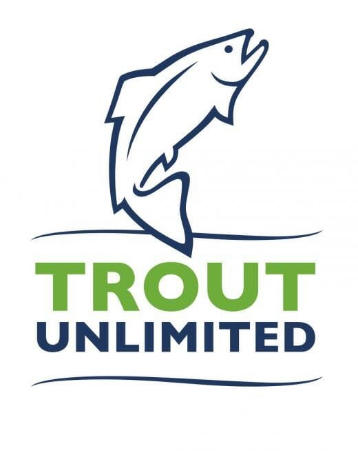 NEW TU Logo