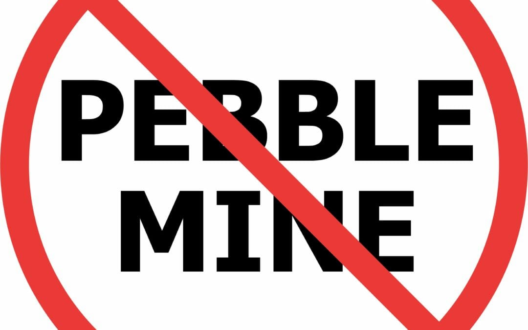 Nearly 50 sport-fishing and tourism businesses ask Congress to defund Pebble review