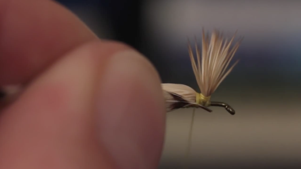 Fly Tying The Yellow Humpy Trout Unlimited