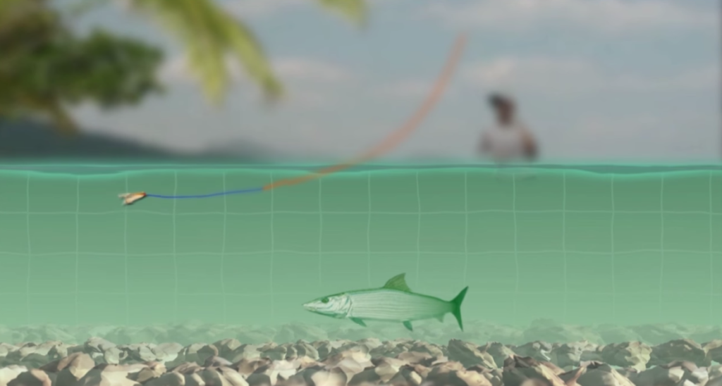 Video Spotlight Inshore Saltwater Fly Fishing Trout Unlimited