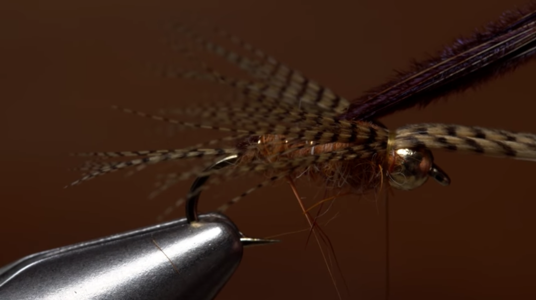 Fly Tying The SBR Hendrickson Nymph Trout Unlimited