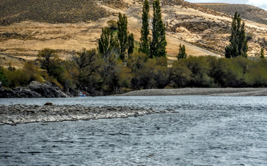 Trout Tips: Think small, even on big water