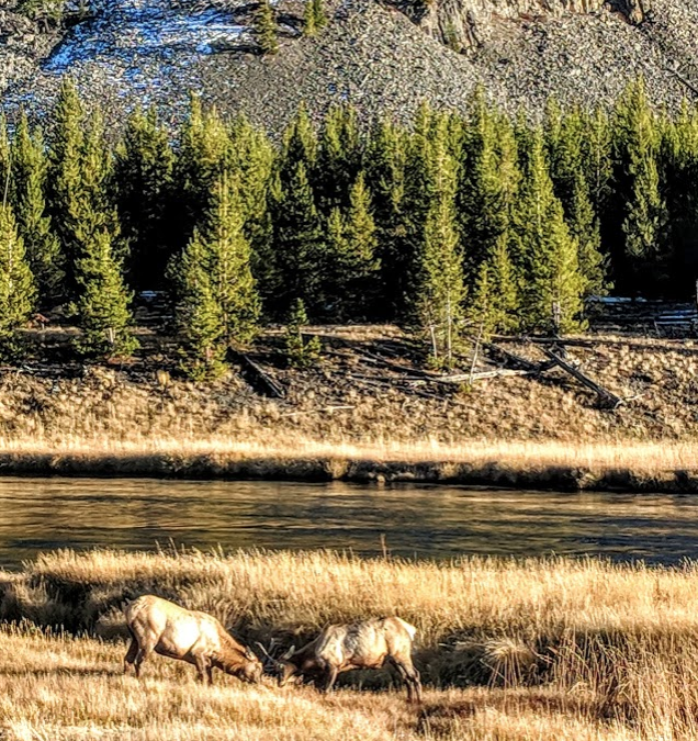 Trout Tips: Wait for it…