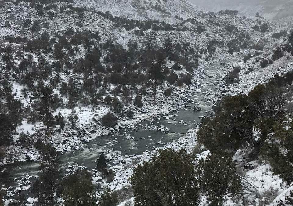 Voices from the River: Don't wake me up