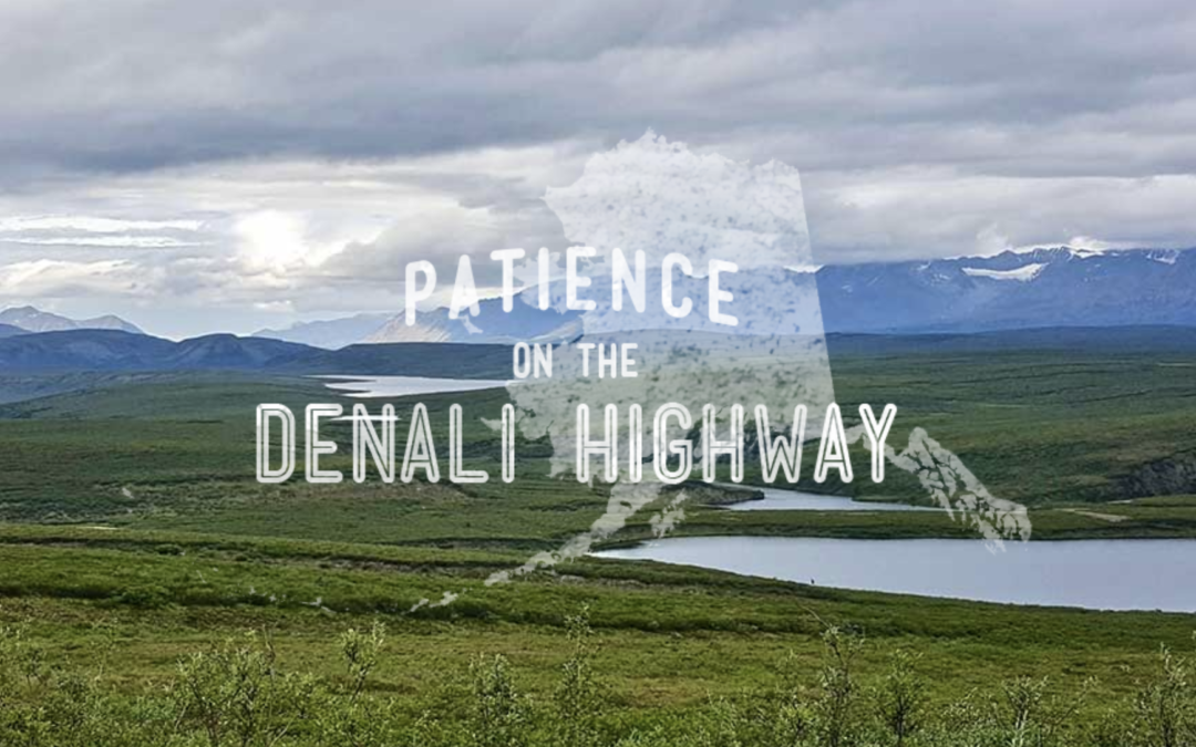 Patience on the Denali Highway