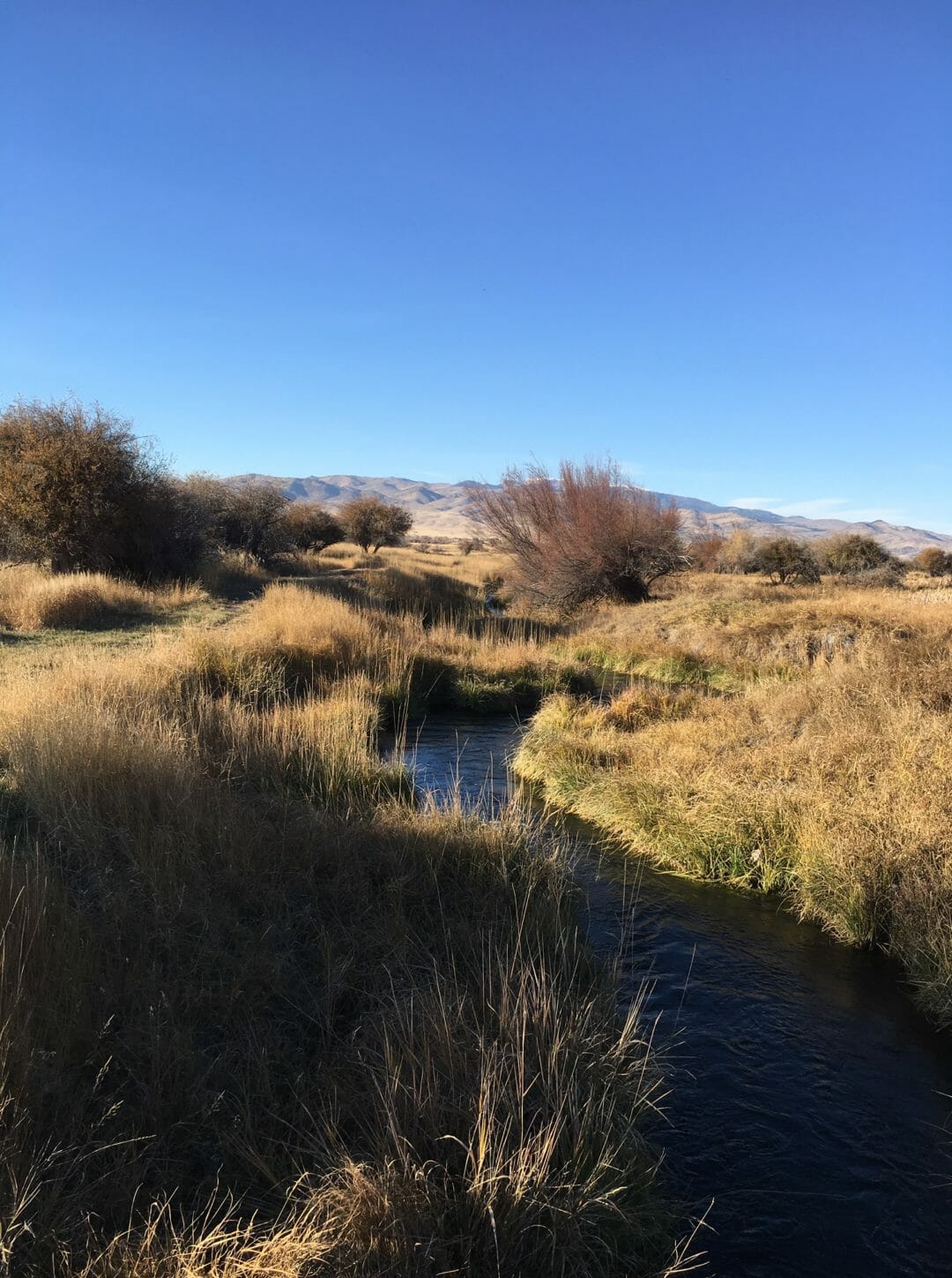 Thinking Downstream - Trout Unlimited