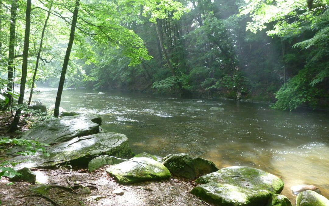 TU volunteers support stream protections in NJ
