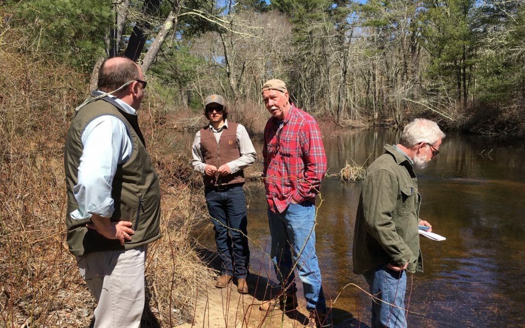 Helping the Wood River to breathe