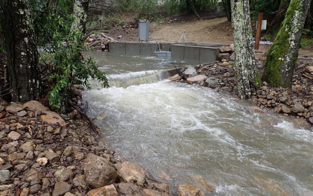 Bringing fish back to Yellowjacket Creek