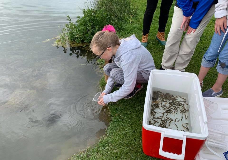 Lessons from Trout in the Classroom