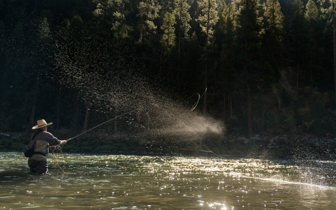 Hope for Idaho’s Salmon