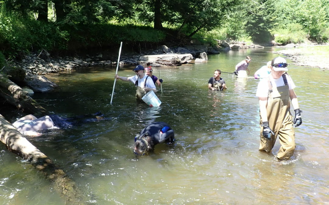 Looking back at a big year for PA Coldwater Habitat Program