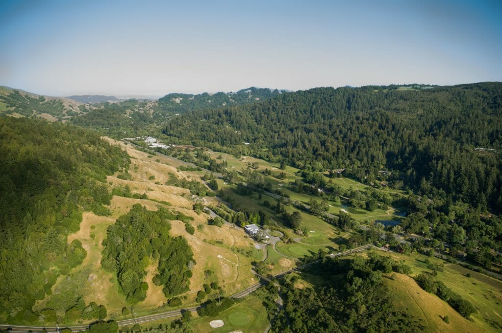New Hope For Coho In San Geronimo Creek Trout Unlimited