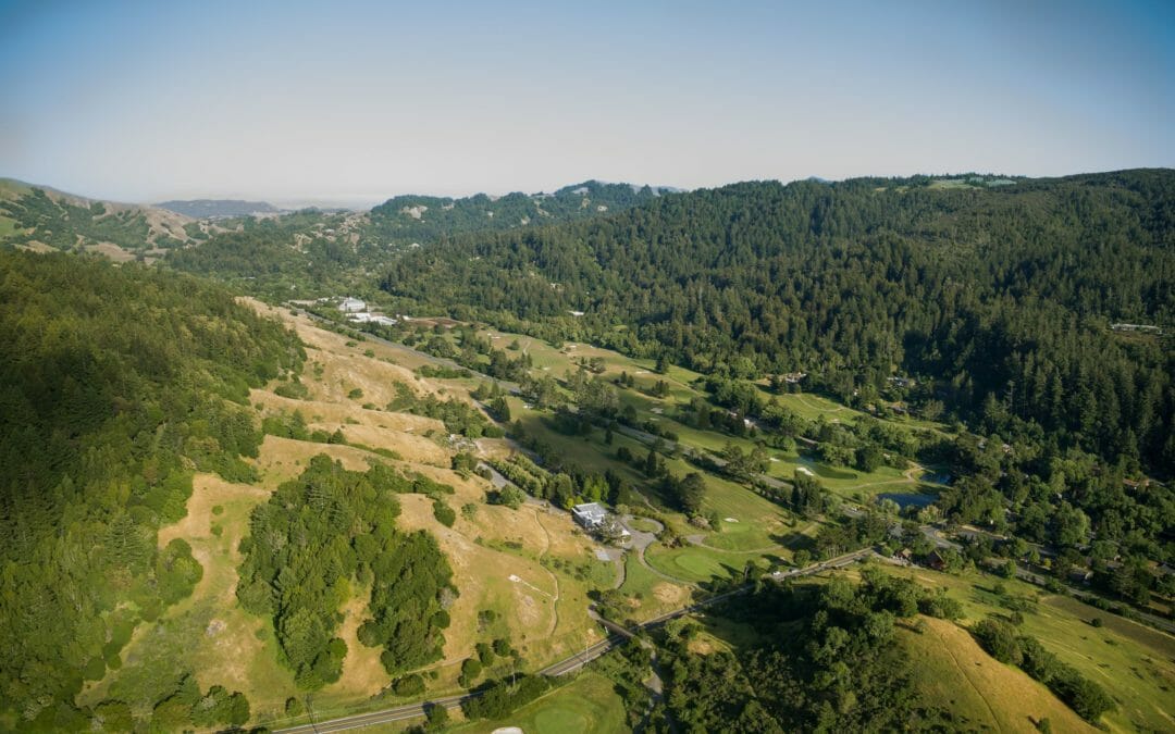 New hope for coho in San Geronimo Creek