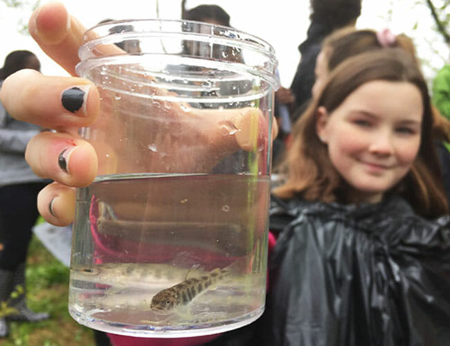 Trout In The Classroom - Trout Unlimited