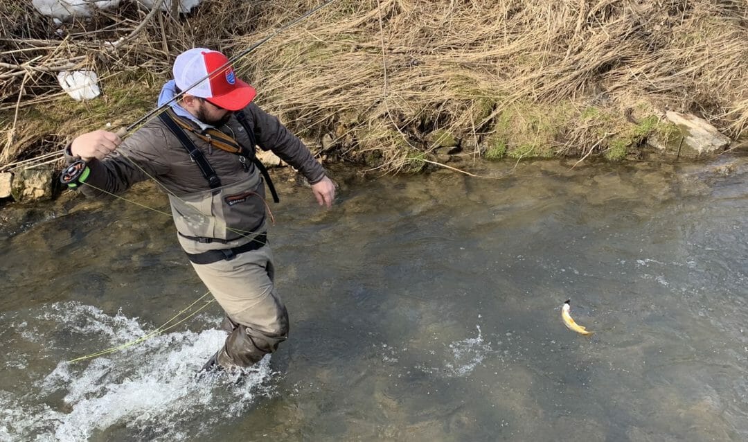 2020 Busy For Restoration In Wisconsin's Driftless Area Trout Unlimited