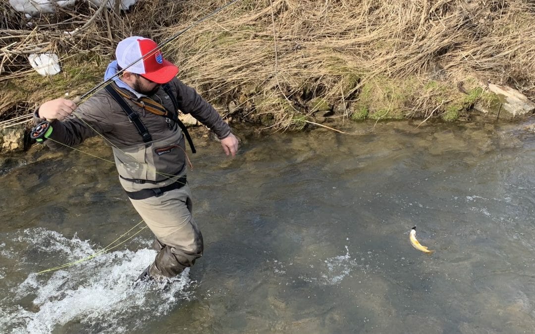 2020 busy for restoration in Wisconsin’s Driftless Area