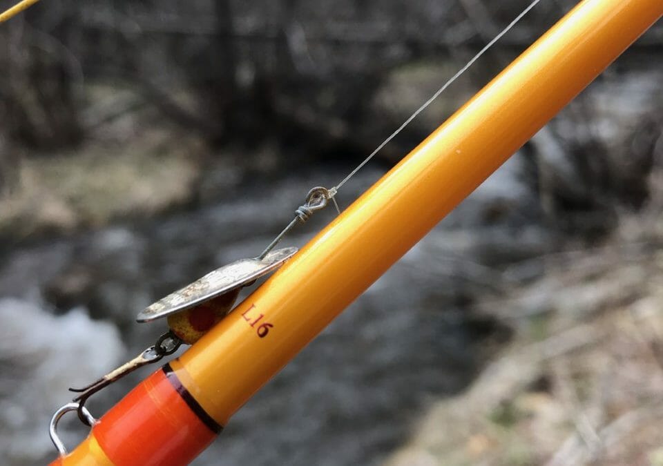 Spring on Jack Creek