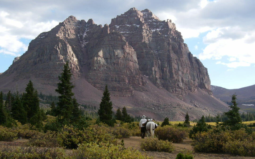 Lack of funding, not roadless rule, is bigger factor in Utah forest health