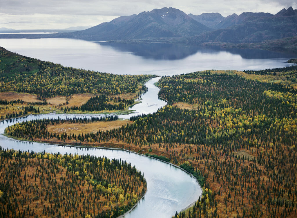 Bristol Bay river