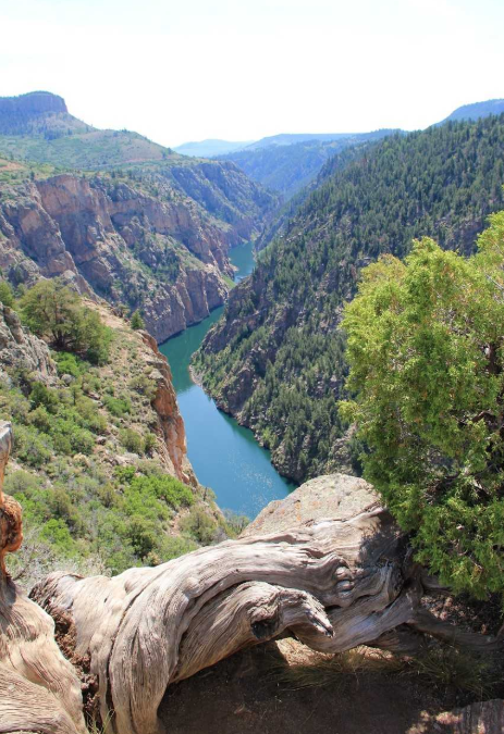 New bill would clarify management, improve fishing in Colorado