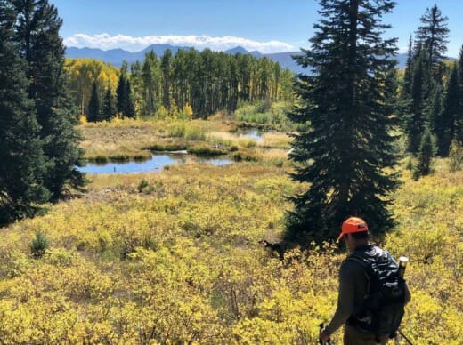 An angler walks through an autumn meadow on the Thompson Divide in search of wild trout.