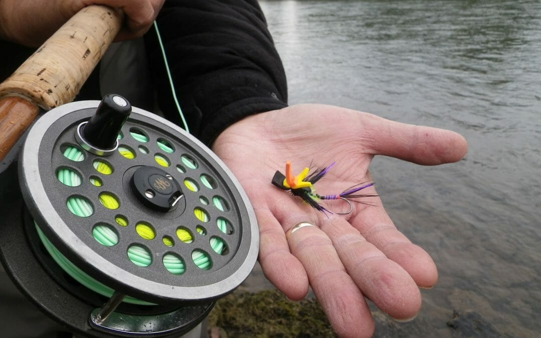 Summer steelhead on a skated fly