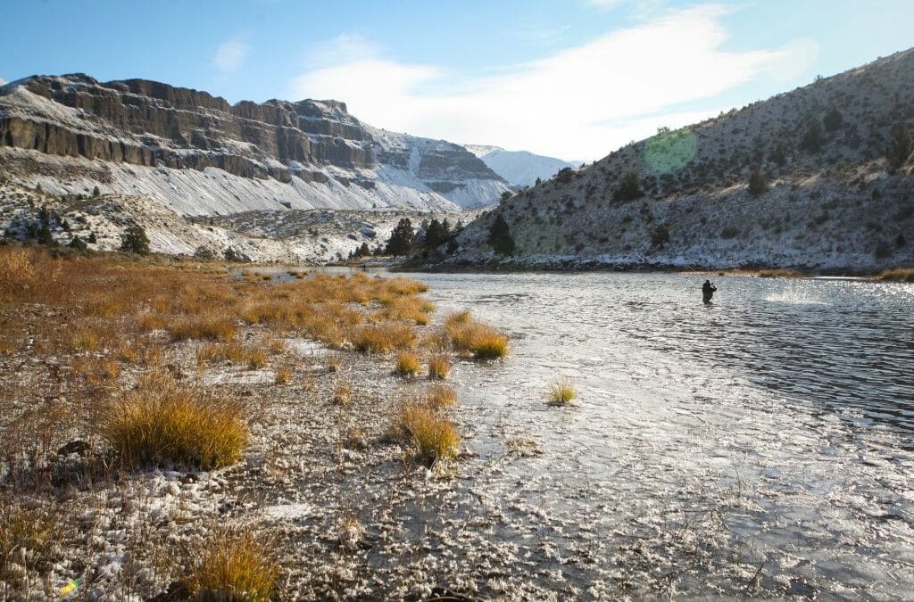 Columbia Basin Partnership offers new vision for salmon and steelhead