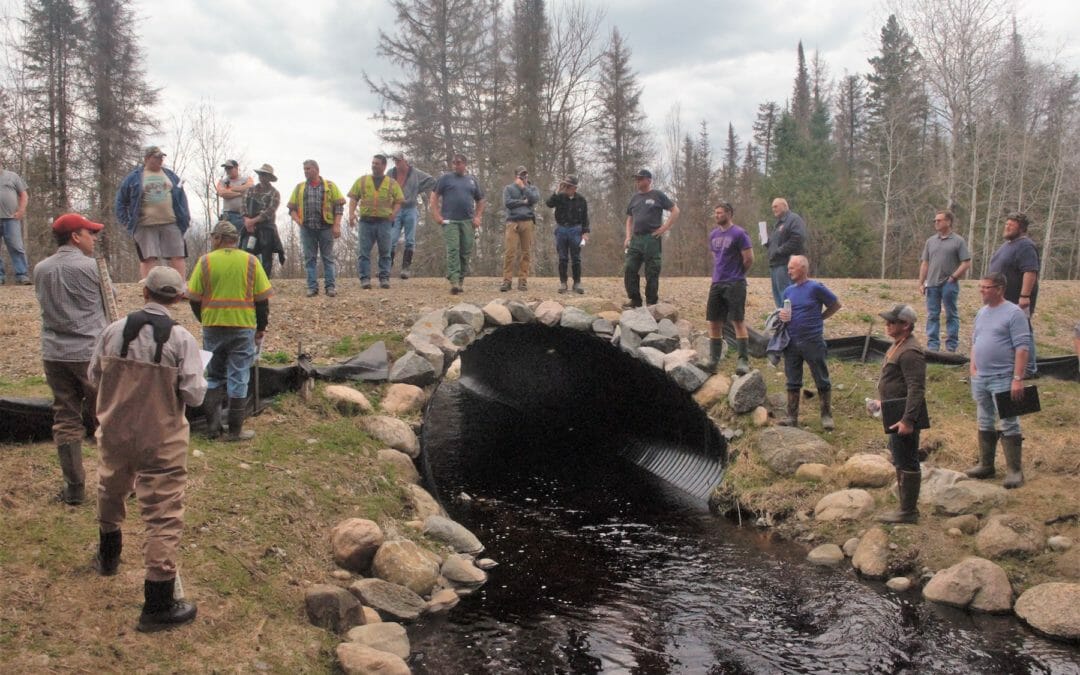 Culverts, flooding and native trout in Wisconsin