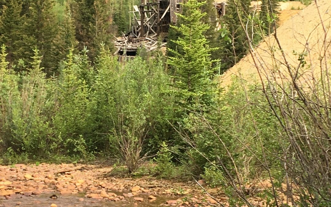 Acid mine waste and trout don’t mix