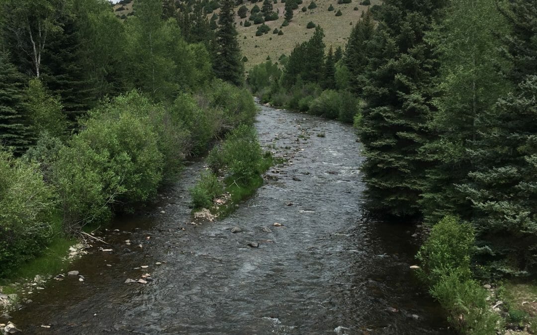 Women angling for conservation