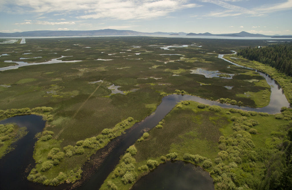 This image has an empty alt attribute; its file name is Klamath-wetland-complex-1024x668.jpg