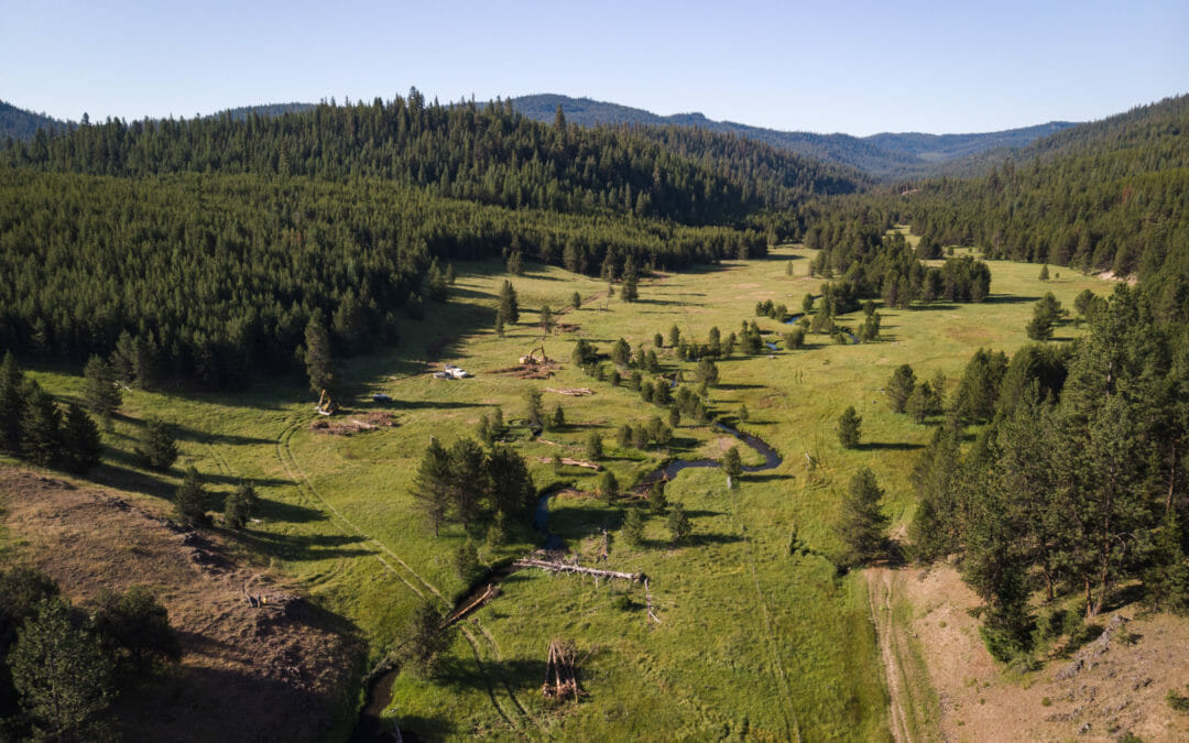 Passion on Sheep Creek
