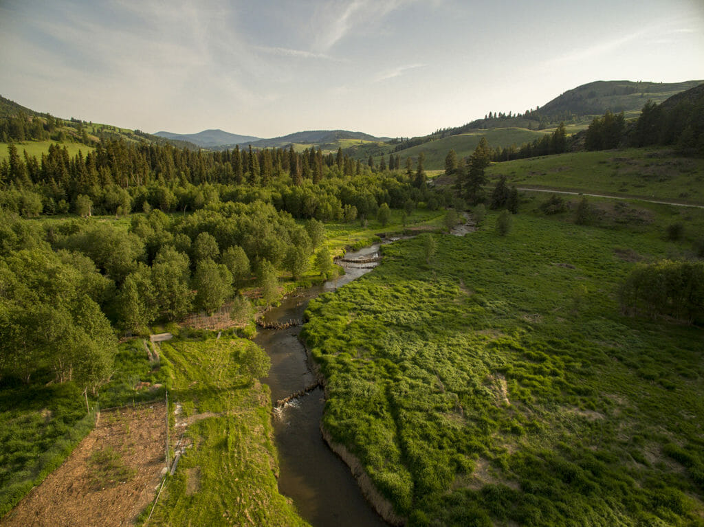 This image has an empty alt attribute; its file name is constructed-beaver-dams-on-the-methow-1024x767.jpg