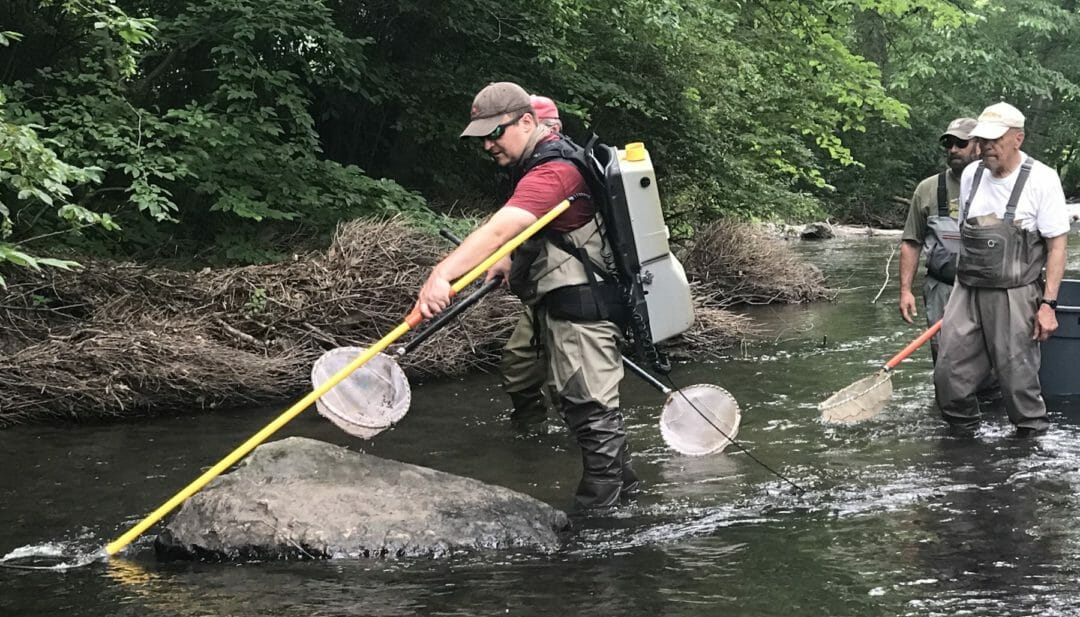 Pennsylvania Protects 70 New Stream Sections Trout Unlimited