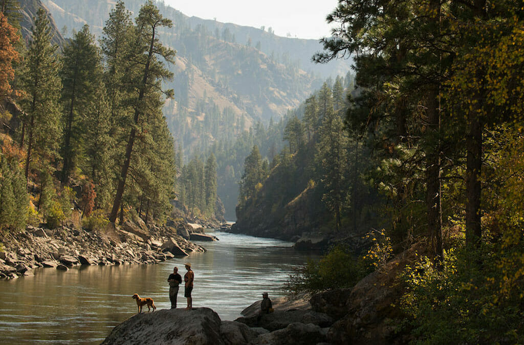 Congress introduces bipartisan bill to recover fish and wildlife