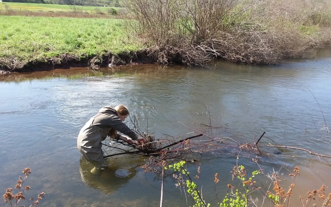 Busy summer for TU field tech in New York