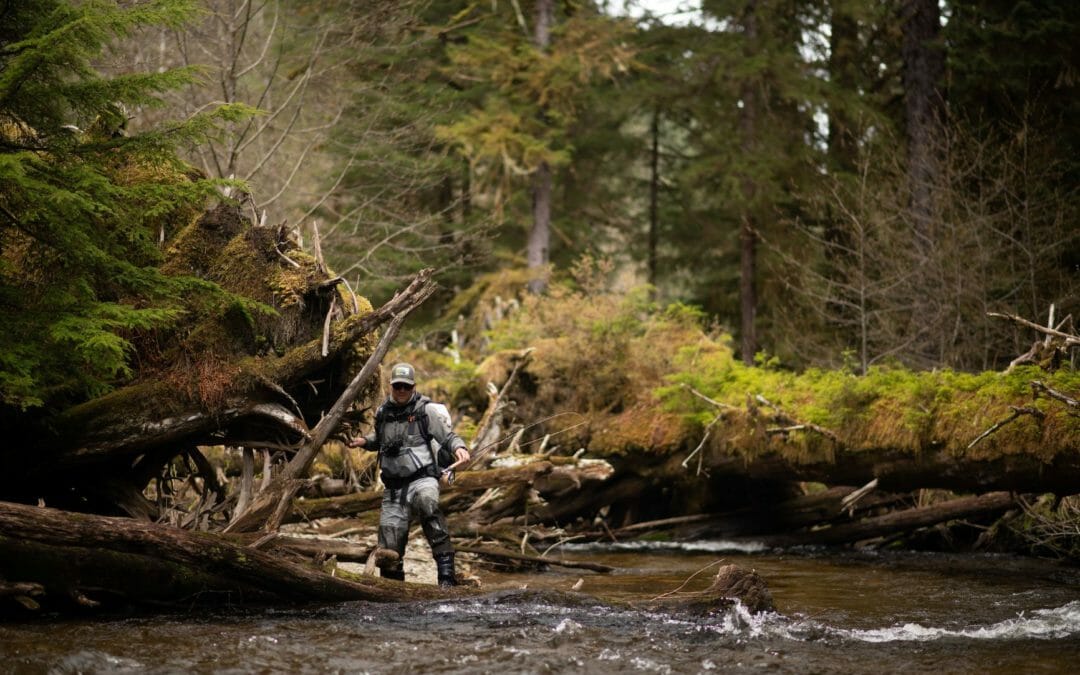 Why Roadless matters on the Tongass