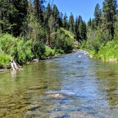A scenic shot of a trout stream.