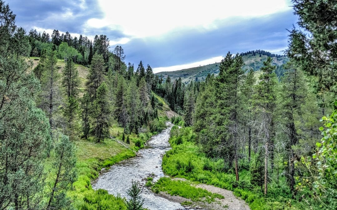 U.S. Forest Service proposes to revise environmental review under NEPA.