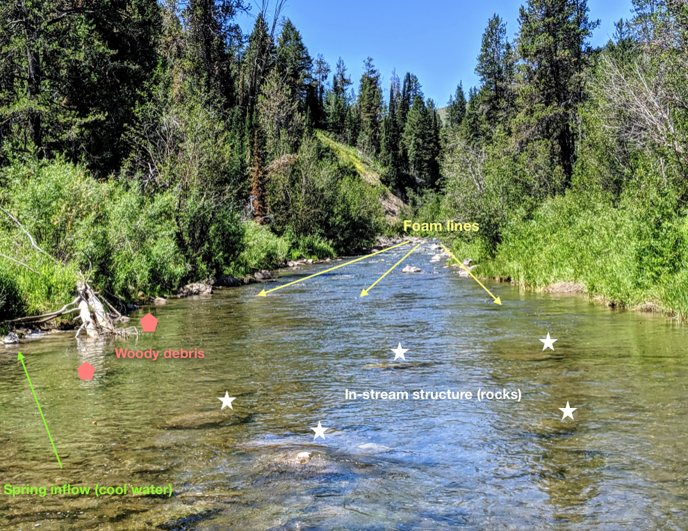 A somewhat plain photo of a trout stream labeled with fish fishable structure. 