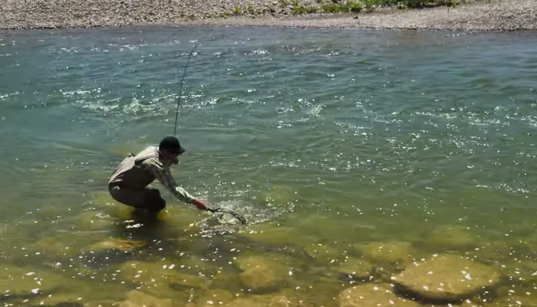 How to give the fish what they want