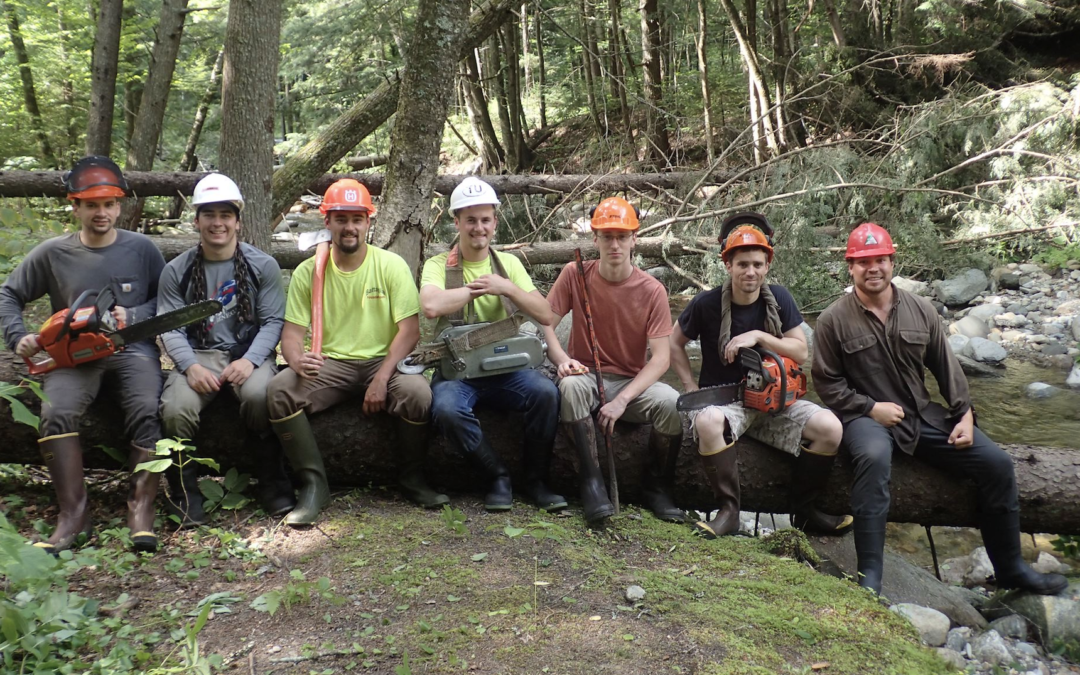 Woodworking for brook trout in the Vermont forest