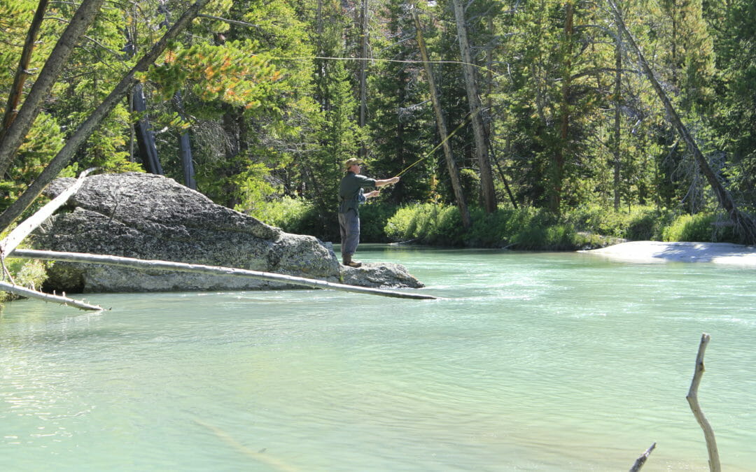 Bear Basin Adventures Redux