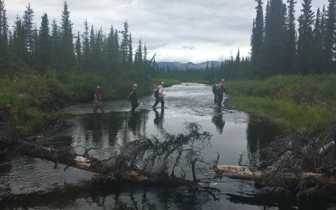 Saying thanks through fishing