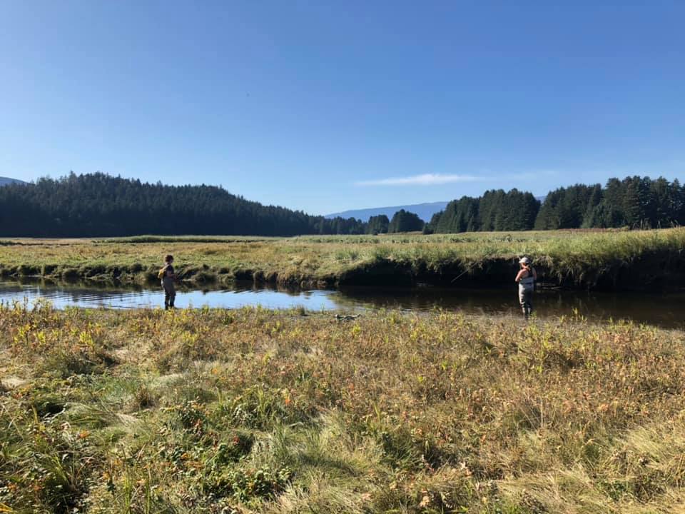 Two anglers fish a coastal salmon stream in Southeast Alaska.