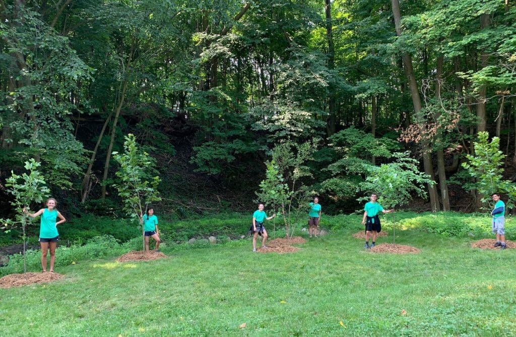 TU Plants Trees To Restore Michigan Trout Streams Trout Unlimited
