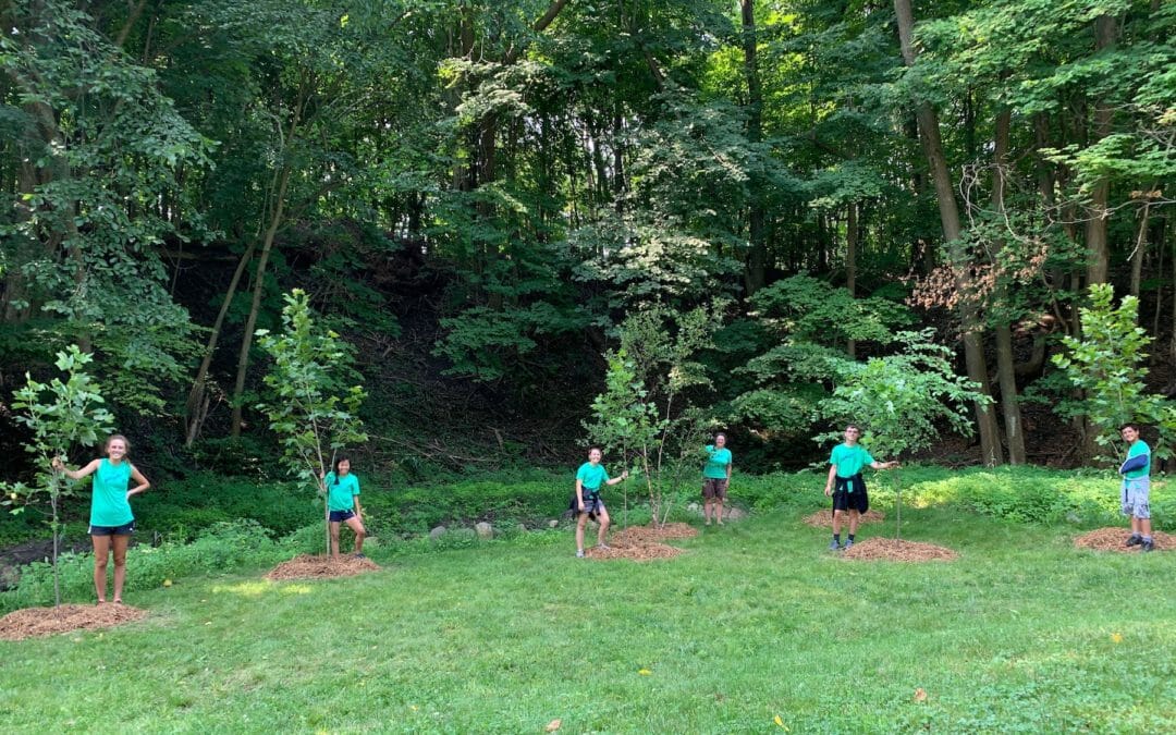 TU plants trees to restore Michigan trout streams