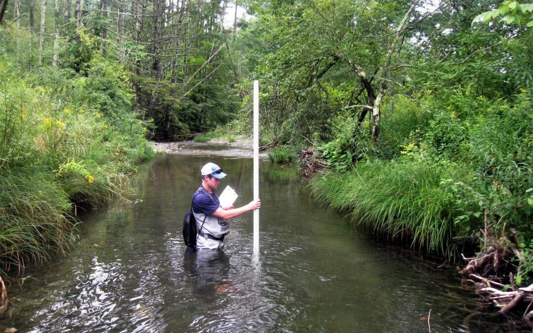 A summer in the much-loved Battenkill River watershed